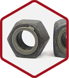 The Original Security Locknut